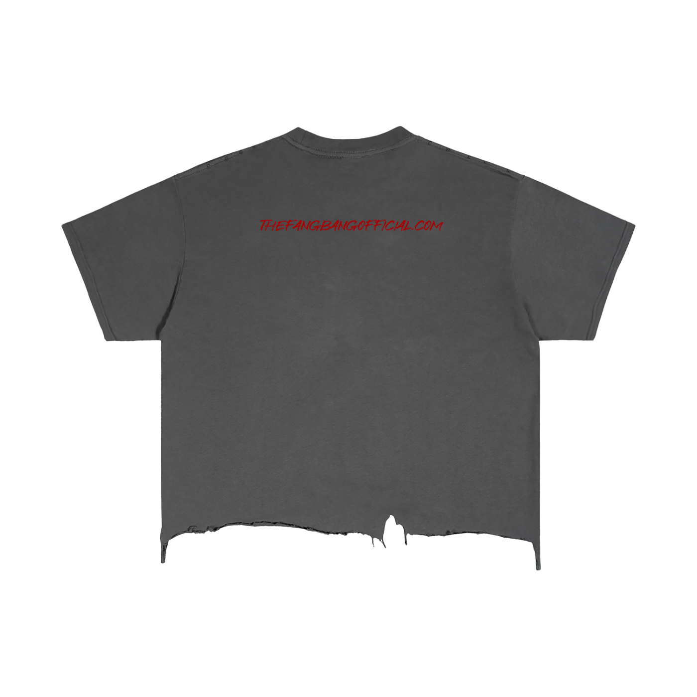 Half Sun/Half Moon Vintage Wash Boxy Distressed Hem T-Shirt