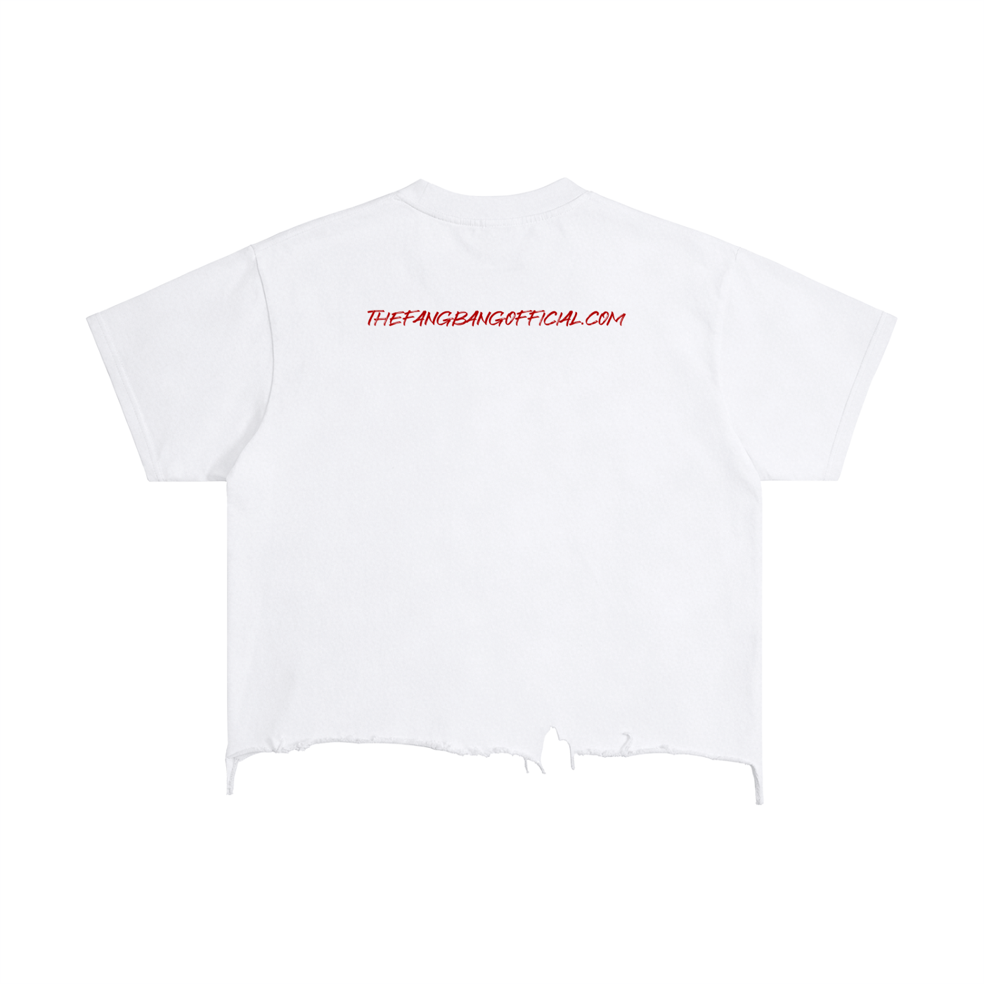 Half Sun/Half Moon Vintage Wash Boxy Distressed Hem T-Shirt