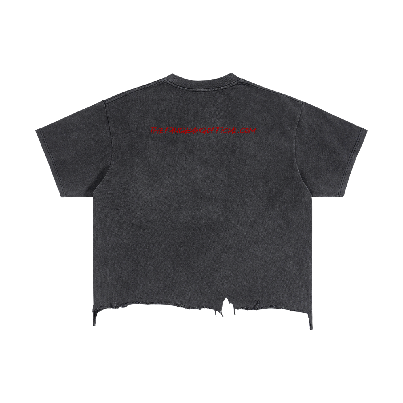 Half Sun/Half Moon Vintage Wash Boxy Distressed Hem T-Shirt